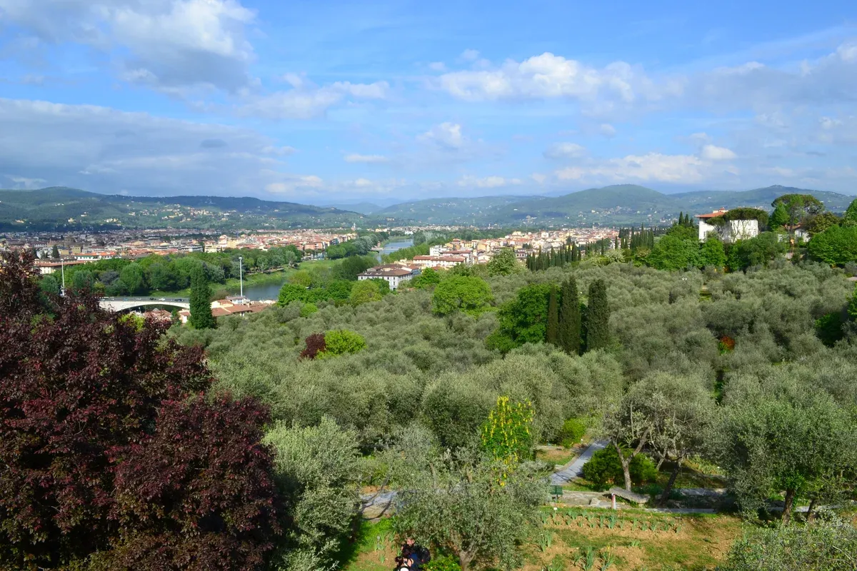 Spring olive groves and the Arno valley seen from the Iris Garden in May, the best time to visit Florence for green hills